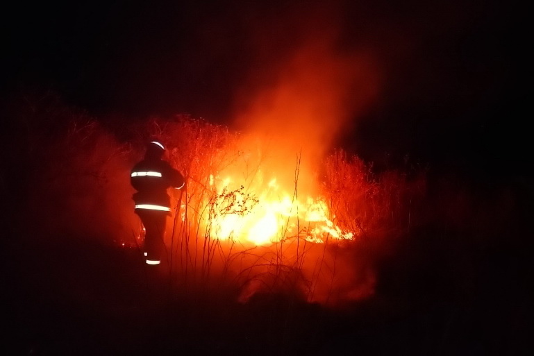 Губернатор считает, что лес на Харьковщине специально подожгли