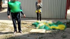 Пьяный хулиган на Харьковщине обругал агитаторов политической партии и повредил им палатку