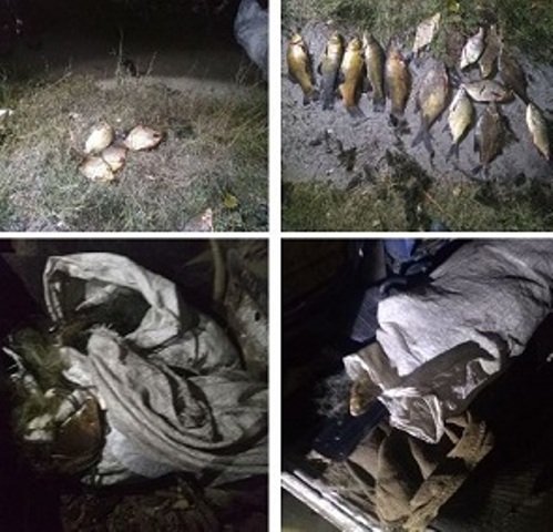 На Харьковщине задержаны браконьеры