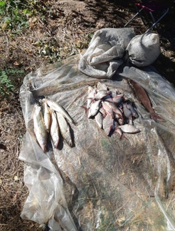 На Краснооскольском водохранилище задержаны браконьеры с сетями (фото)