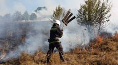 На Харьковщине удалось спасти от пожара лес (фото)