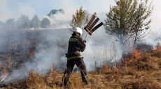 На Харьковщине удалось спасти от пожара лес (фото)