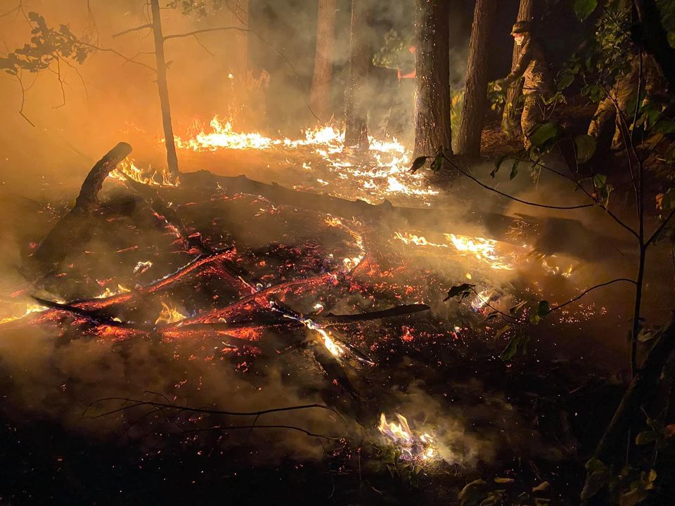 Под Чугуевом спасатели ликвидируют низовой лесной пожар (видео,фото)