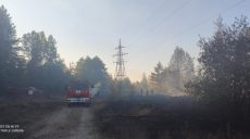На Харьковщине горел лес (фото)
