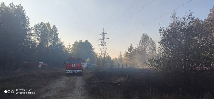На Харьковщине горел лес (фото)