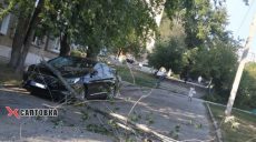 Дерево рухнуло на автомобиль на Салтовке (фото)