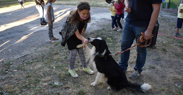 «Уроки доброты» провел приют для животных для юных харьковчан
