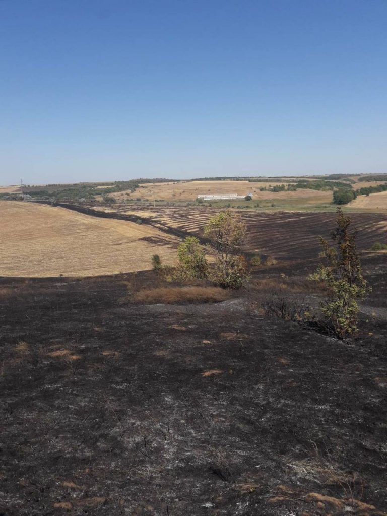 Спасатели ликвидировали пожар возле свалки