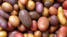 Україна увійшла до трійки світових лідерів з виробництва картоплі
