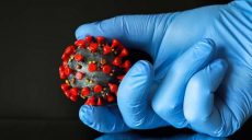 Польша заявила о создании действенного лекарства от коронавируса