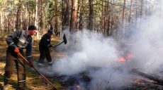 В Верховной Раде поддержали увеличение штрафов за нанесение ущерба окружающей среде