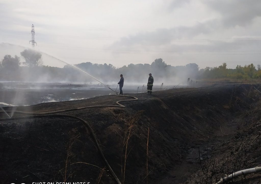 С 21 по 27 сентября пожарные 462 раза привлекались к тушению пожаров на открытых территориях