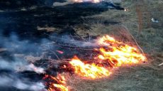На Харківщині постраждала пенсіонерка, яка палила траву