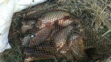 Харьковчане рыбачат несмотря на запрет: нарушителей штрафуют патрули