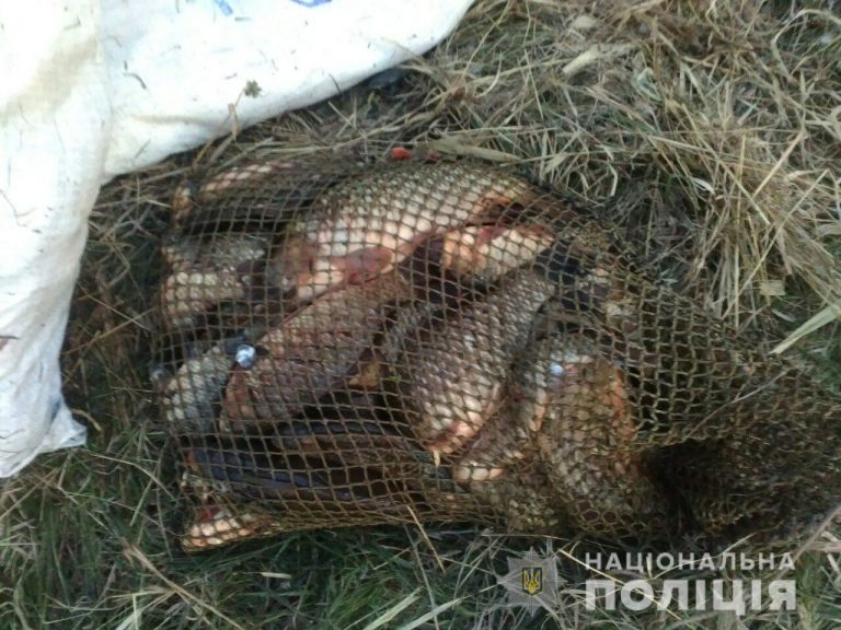 Харьковчане рыбачат несмотря на запрет: нарушителей штрафуют патрули