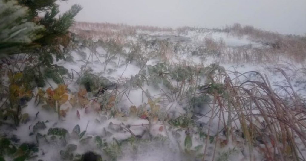 В Карпатах выпал первый снег (видео)