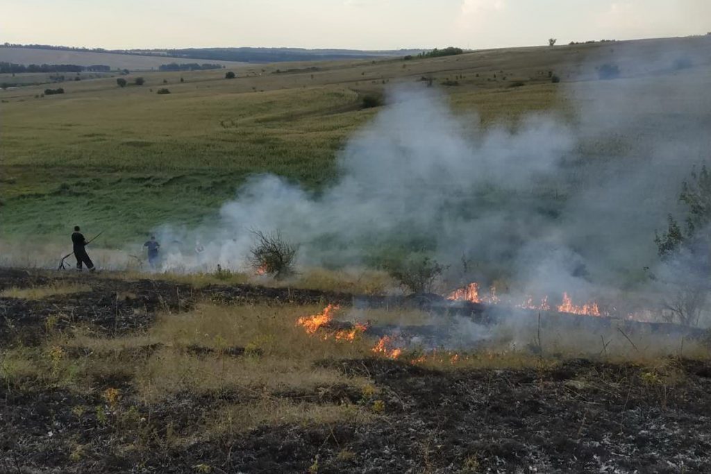 За добу рятувальники ліквідували 44 пожежі в природних екосистемах