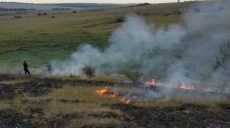 За добу рятувальники ліквідували 44 пожежі в природних екосистемах