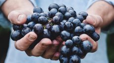 День виноградаря і винороба — в Україні з’явилося нове свято
