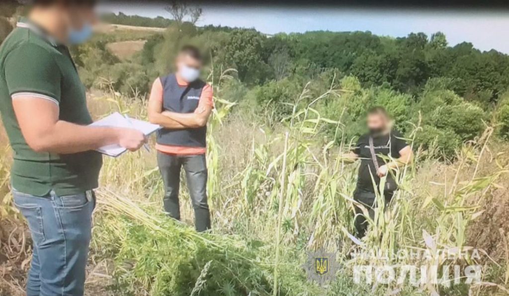 В Харьковской области задержали мужчину за выращивание наркотиков