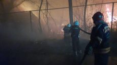 Пожары на Луганщине: погибли 4 человека, госпитализированы 10 (видео, фото)