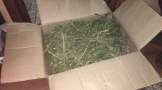 Житель Харьковщины хранил наркотики на чердаке своего дома