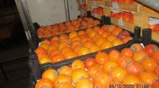 На «Гоптовке» изъяли хурму с коноплей (фото)