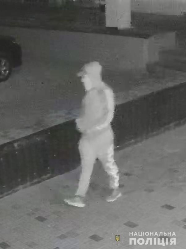 Полиция разыскивает поджигателя автомобиля в Лозовой (фото)