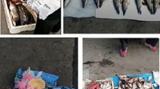 На рынках Харьковщины проверяют торговцев свежей рыбой