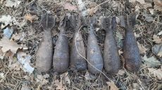 Артснаряди, міни та гранати підірвали на Харківщині (фото)
