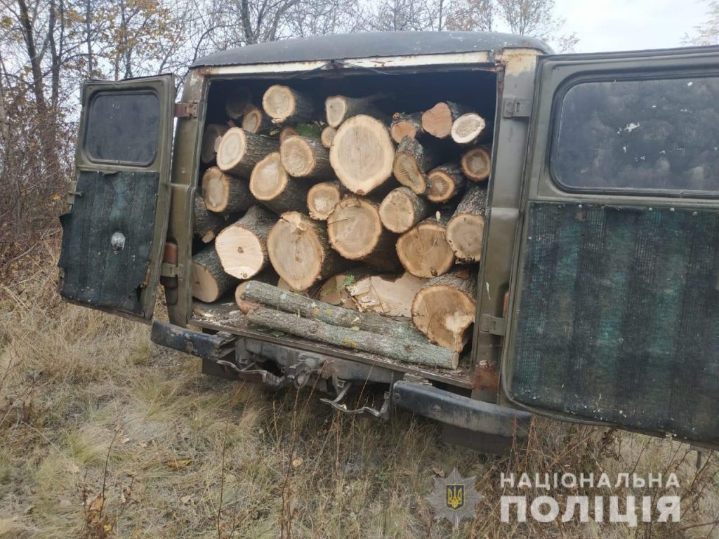 На Харьковщине задержан местный житель, незаконно рубивший лес