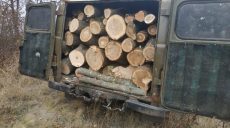 На Харьковщине задержан местный житель, незаконно рубивший лес
