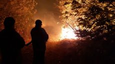 В районе Харьковщины спасатели ликвидировали три масштабных пожара (фото)