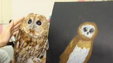 Як юні харківські художники сову Клушу та палочника малювали (відео)