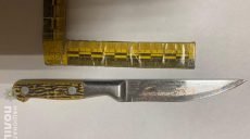 Брат заявил в полицию на сестру, которая ножом ударила его товарища