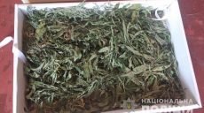 У харьковчанина при обыске обнаружили наркотики (фото)