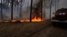 У Луганській області триває гасіння пожеж