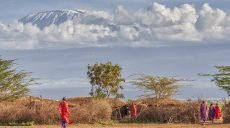 На Килиманджаро бушует огонь (видео)