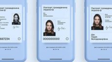 В ЦИК порекомендовали идти на местные выборы с паспортом или ID-картой