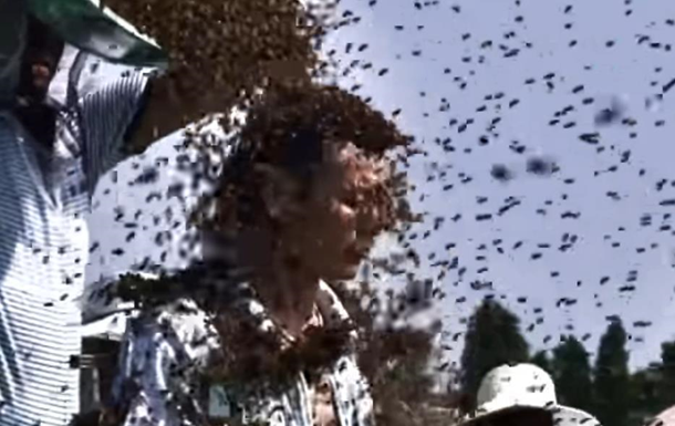 В Книге рекордов Гинесса новый рекорд — человек, облепленный пчелами