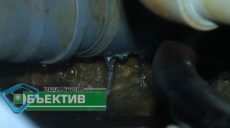 «Немов їжаки в тумані»: в одному з будинків Харкова прорвало труби теплопостачання (фото, відео)