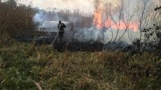 За неделю — более 300 пожаров: харьковские пожарные несут круглосуточное дежурство