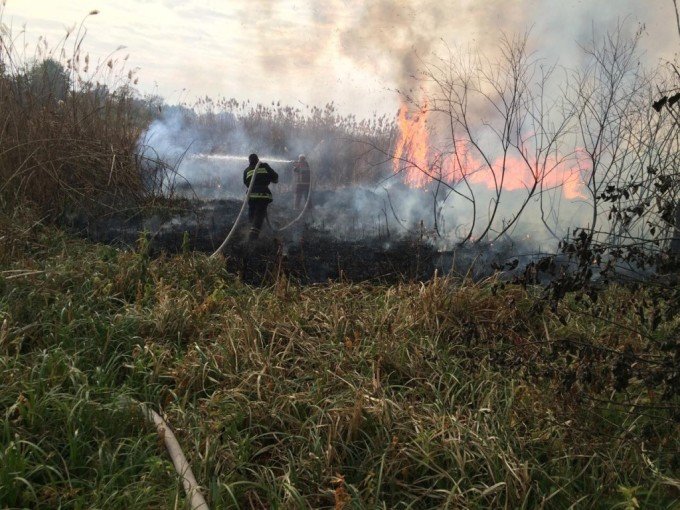 За неделю — более 300 пожаров: харьковские пожарные несут круглосуточное дежурство