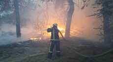 В пожарах на Луганщине погибли больше десяти человек