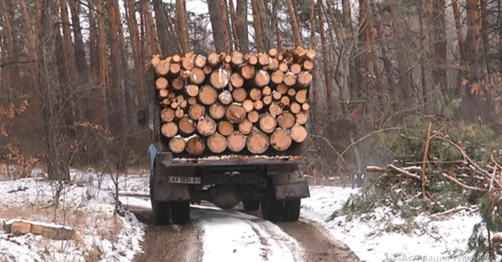 В Изюмском районе местные жители жалуются на масштабную незаконную вырубку леса (фото)