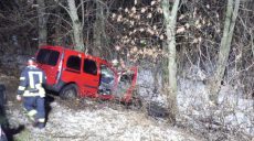 На Харьковщине женщина за рулем Renault слетела в кювет и врезалась в дерево (фото)
