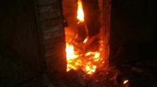 Спасатели ликвидировали пожар в частном домовладении (фото)