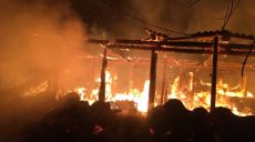 На Харьковщине в сарае сгорели 50 свиней (фото)