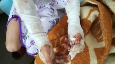 Харьковчанин, убивший свою первую жену, попытался убить и вторую