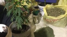 У жителя Харьковщины изъяли наркотики (фото)